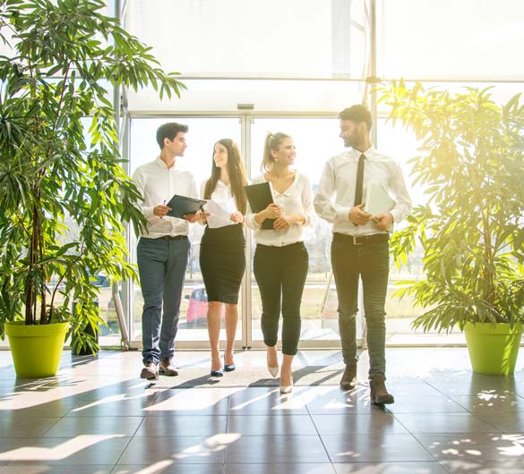 Consultants walking into environmentally friendly office